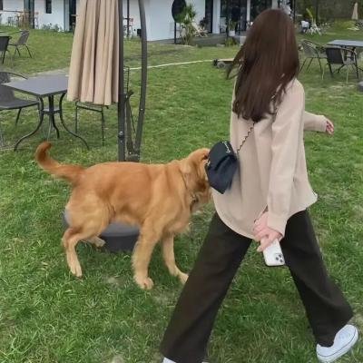 折腰